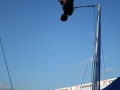 dtm_2006_052
