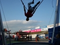 dtm_2006_066