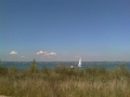 IMAG0021