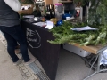 WP_20141207_14_46_02_Pro
