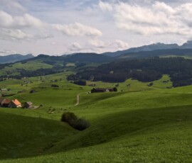 F1 Wanderung 2018 (15)