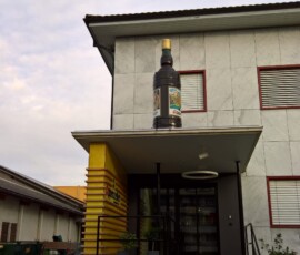 F1 Wanderung 2018 (21)