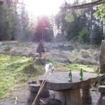 F1ClubChlaus2009_(3)