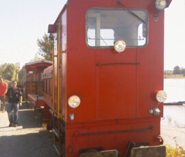 IMAG0019