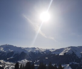 Madrisa4